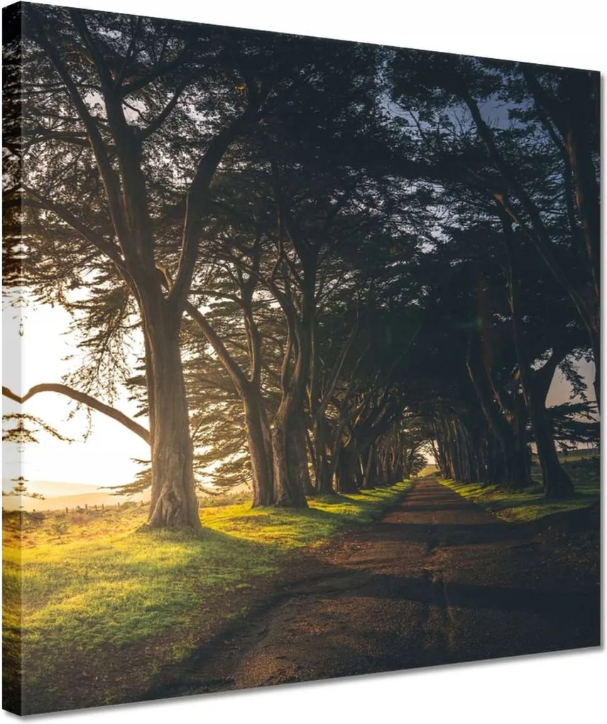 Vászonkép 30x30 Tájkép Látvány