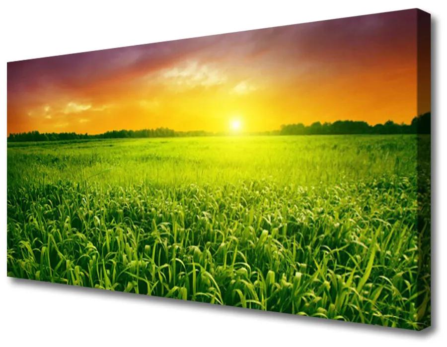 Vászonkép falra Wheat Field Sunrise 125x50 cm