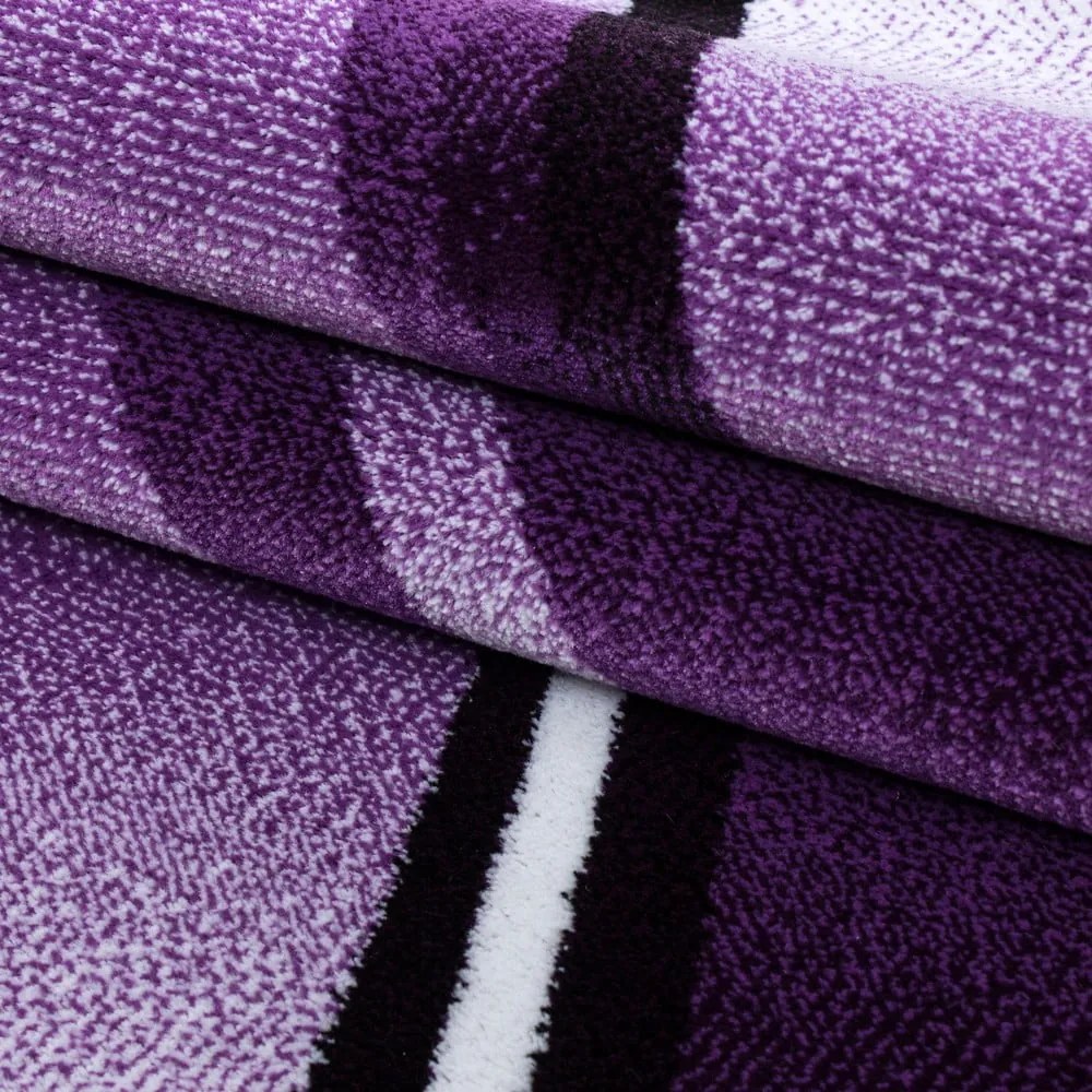 Lila szőnyeg 160x230 cm Parma – Ayyildiz Carpets