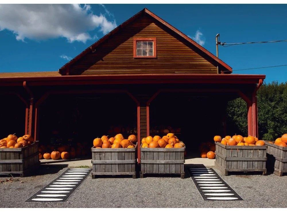 Fekete kültéri-beltéri futószőnyeg 70x150 cm Ella Black – Pappelina