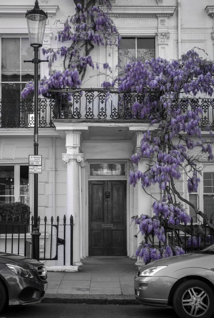 Poszter 68x101cm Ház a Portobello úton 2, Assaf Frank