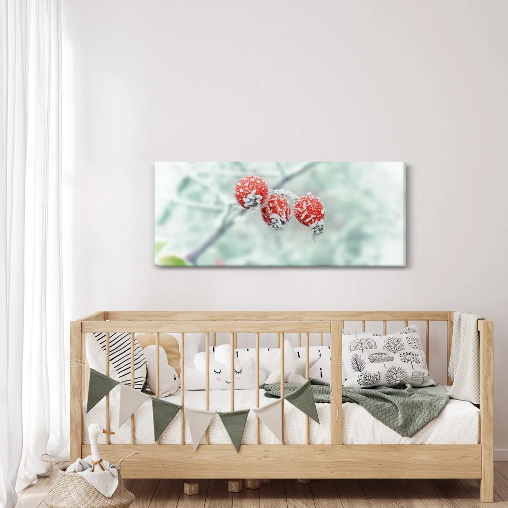 Fagyasztott csipkebogyó képe (120x50 cm)
