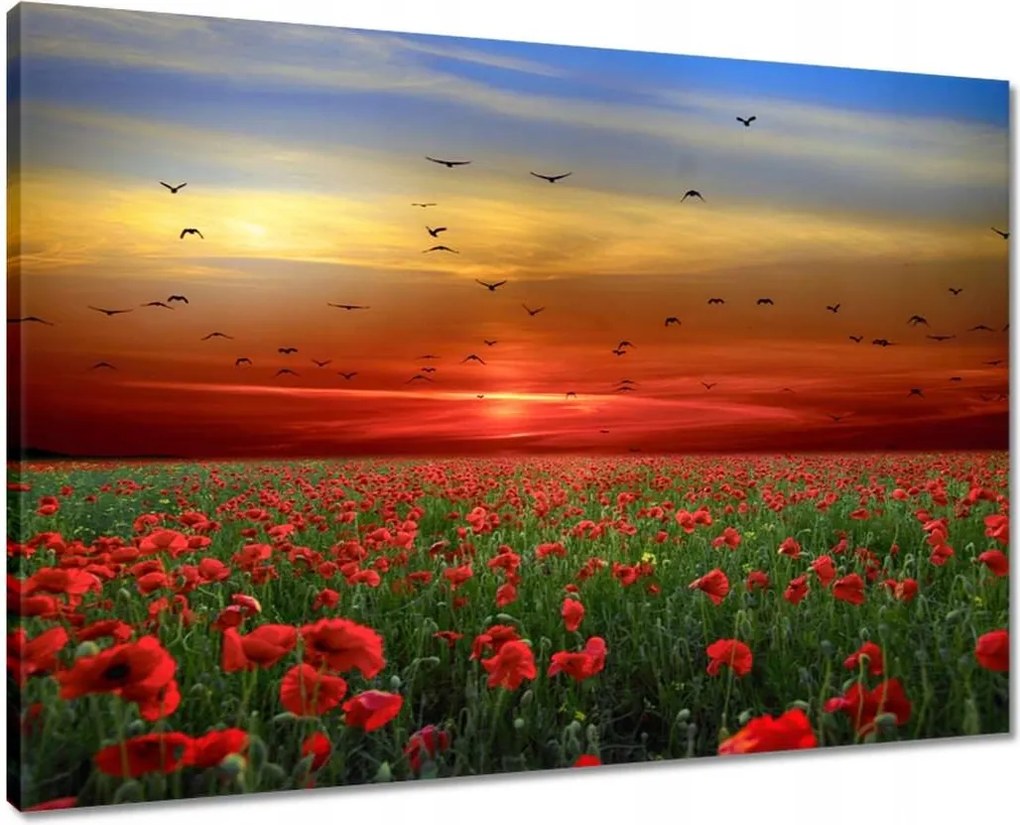 Vászonkép 70x50 Tájkép Látvány