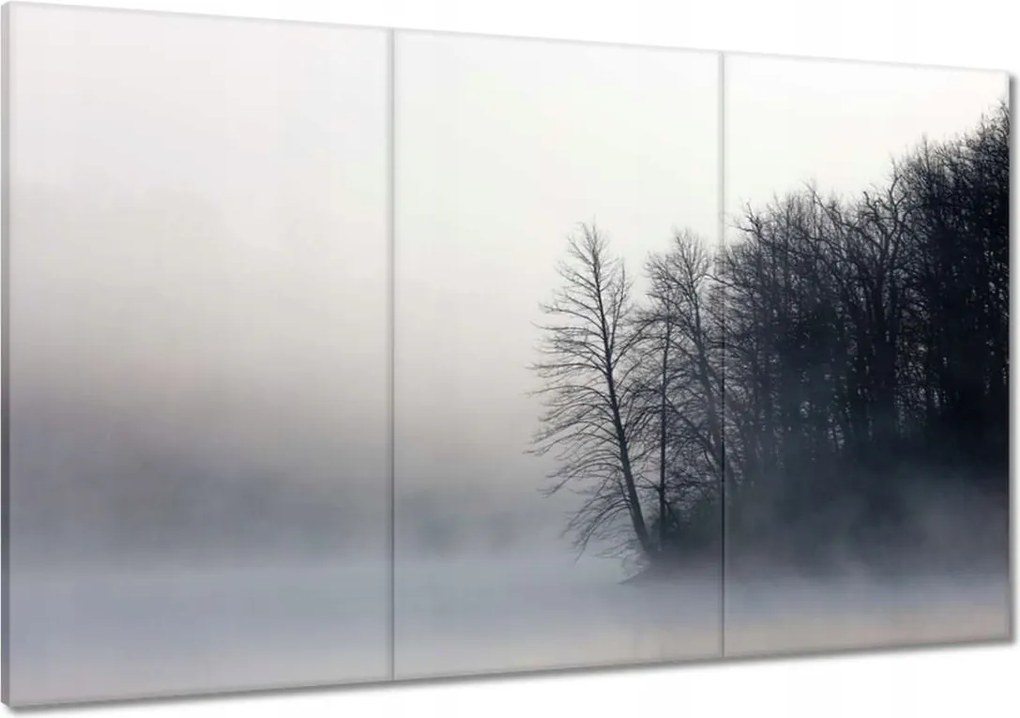 Vászonkép 120x80 Ködös erdő Tél