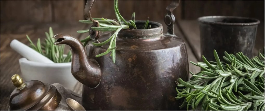 Kép - Teáskanna rozmaringgal (120x50 cm)