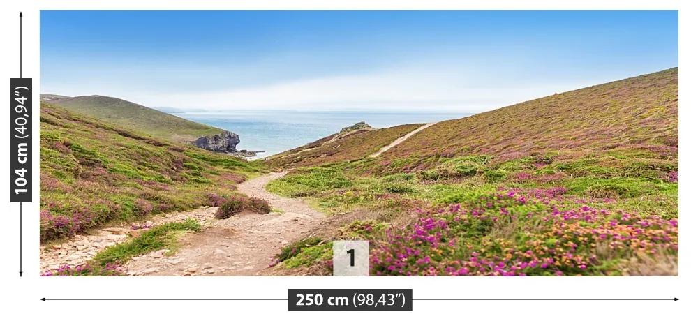 Fotótapéta Atlantic Cornwall 104x70 cm