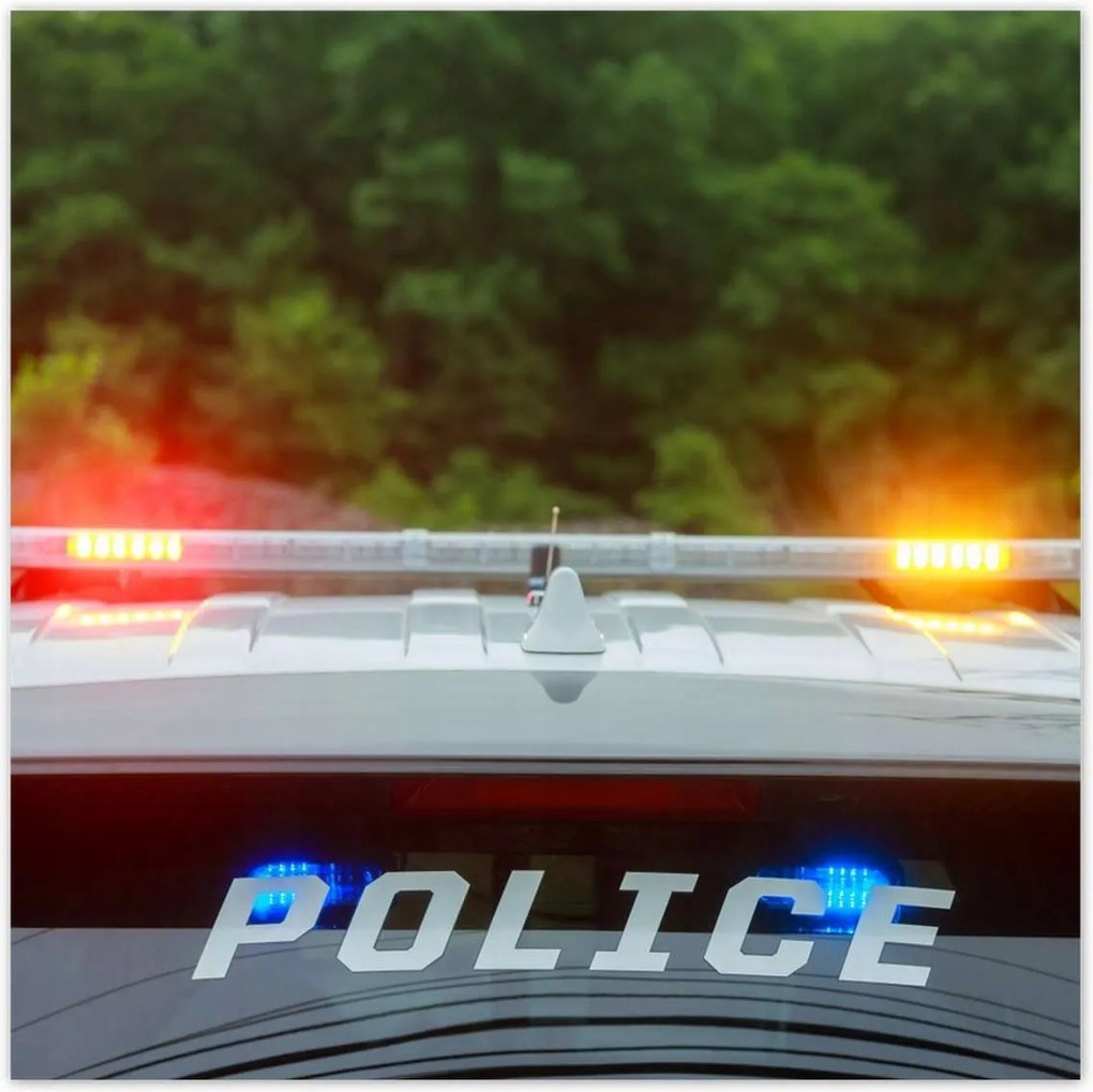 Poszterek 100x100 Villogó rendőrségi lámpák