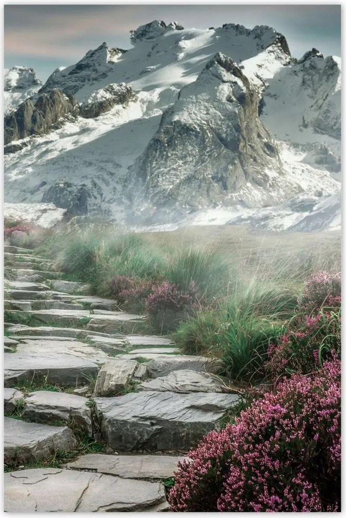 Poszterek 60x90 Hegyi kilátás Tájkép Köd