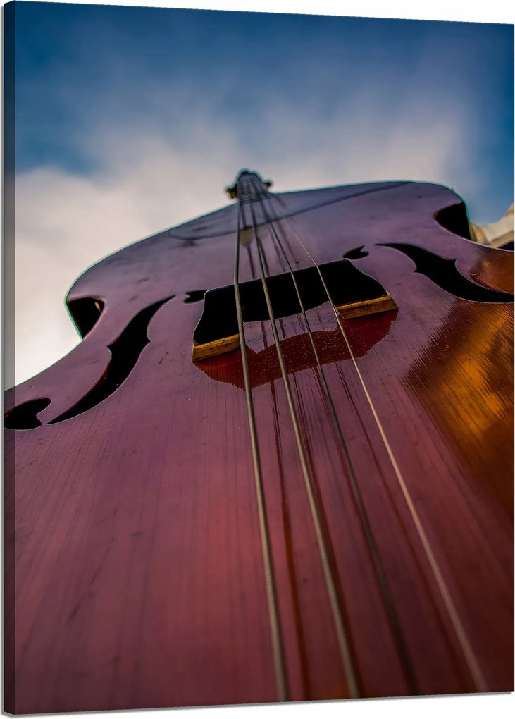 Vászonkép Zene Kontrabasszus közelkép 50x70