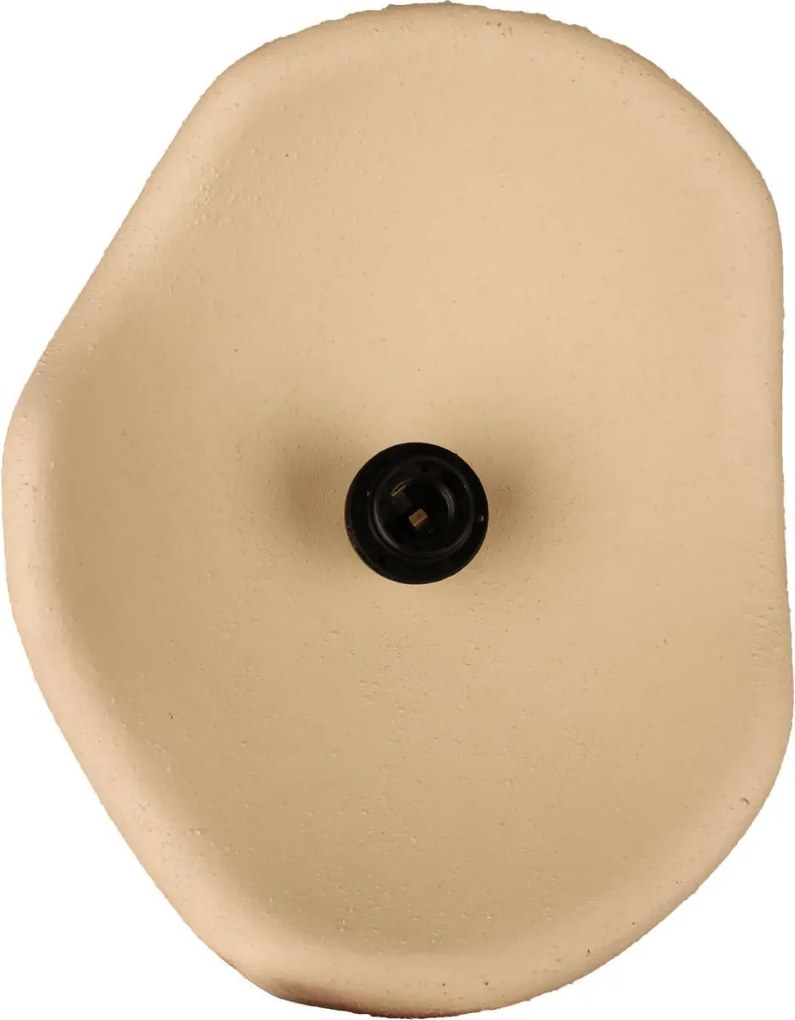 BK239