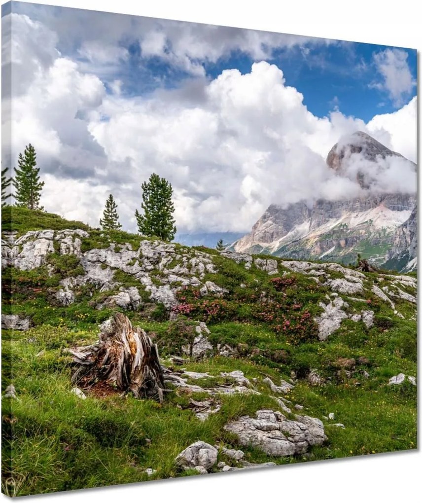 Vászonkép 40x40 Hegyi kilátás Tájkép