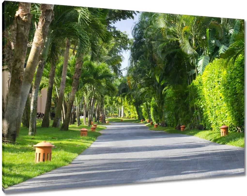 Vászonkép 100x70 Park Falevelek