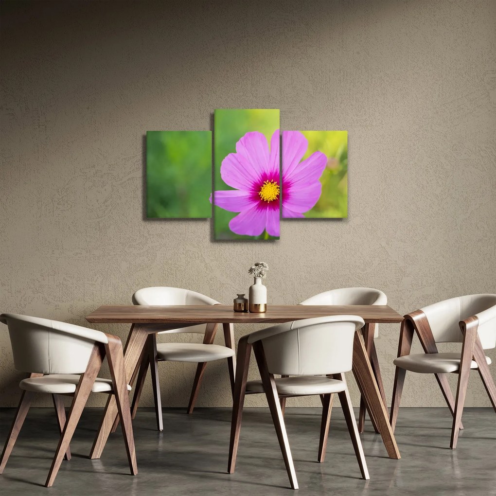 Kép - réti virág (90x60 cm)
