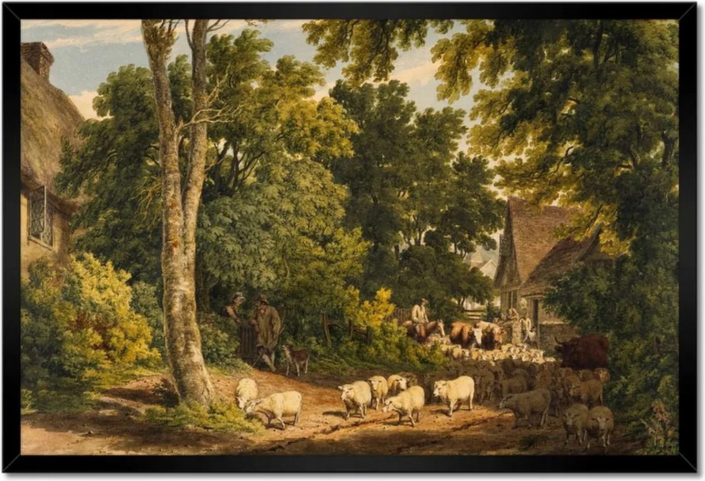 Poszter keretben 60x40 Bárányok bárányok