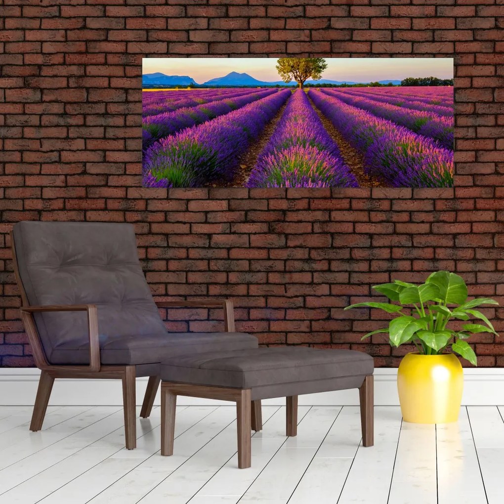 Kép - Levendula mező (120x50 cm)