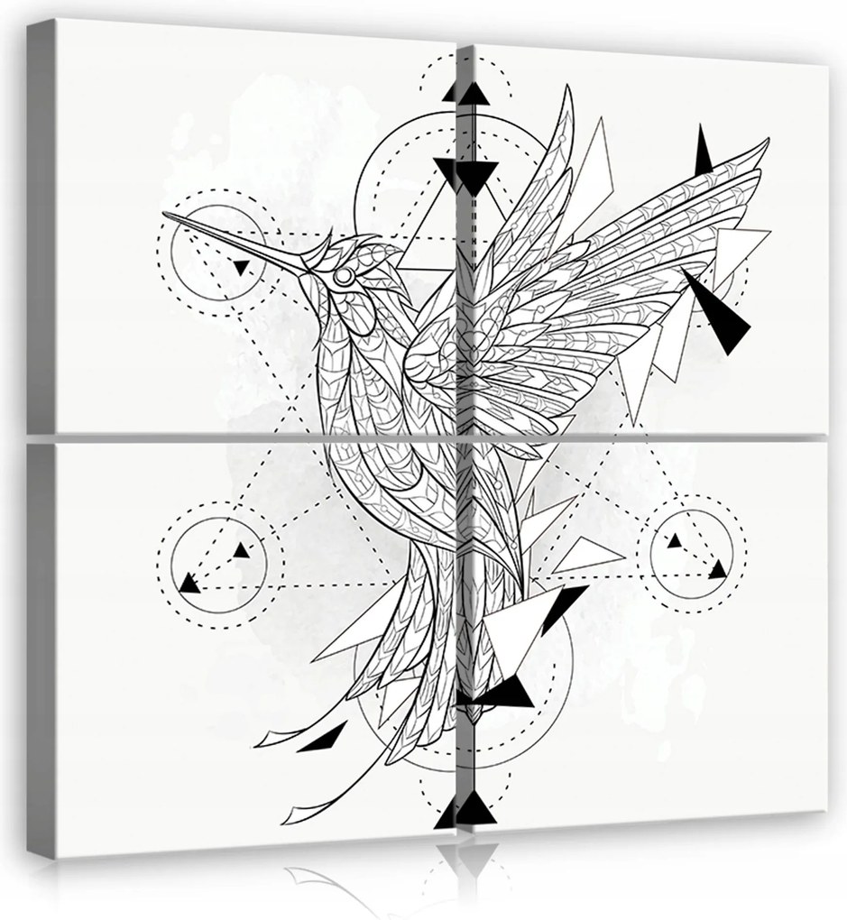 Vászonkép 50x50 Kolibri madár grafika geometria minimalizmus modern absztrakt