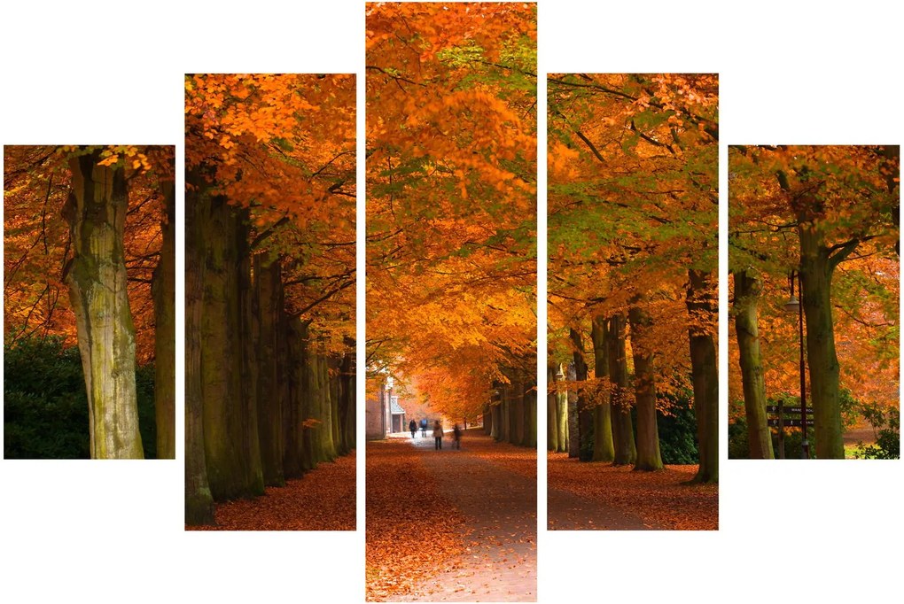 Kép - A Avenue of fák ősszel (150x105 cm)