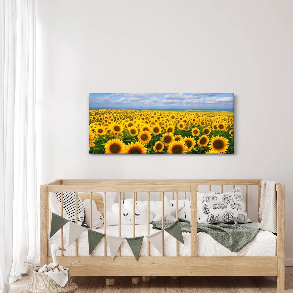 A napraforgó mező képe (120x50 cm)