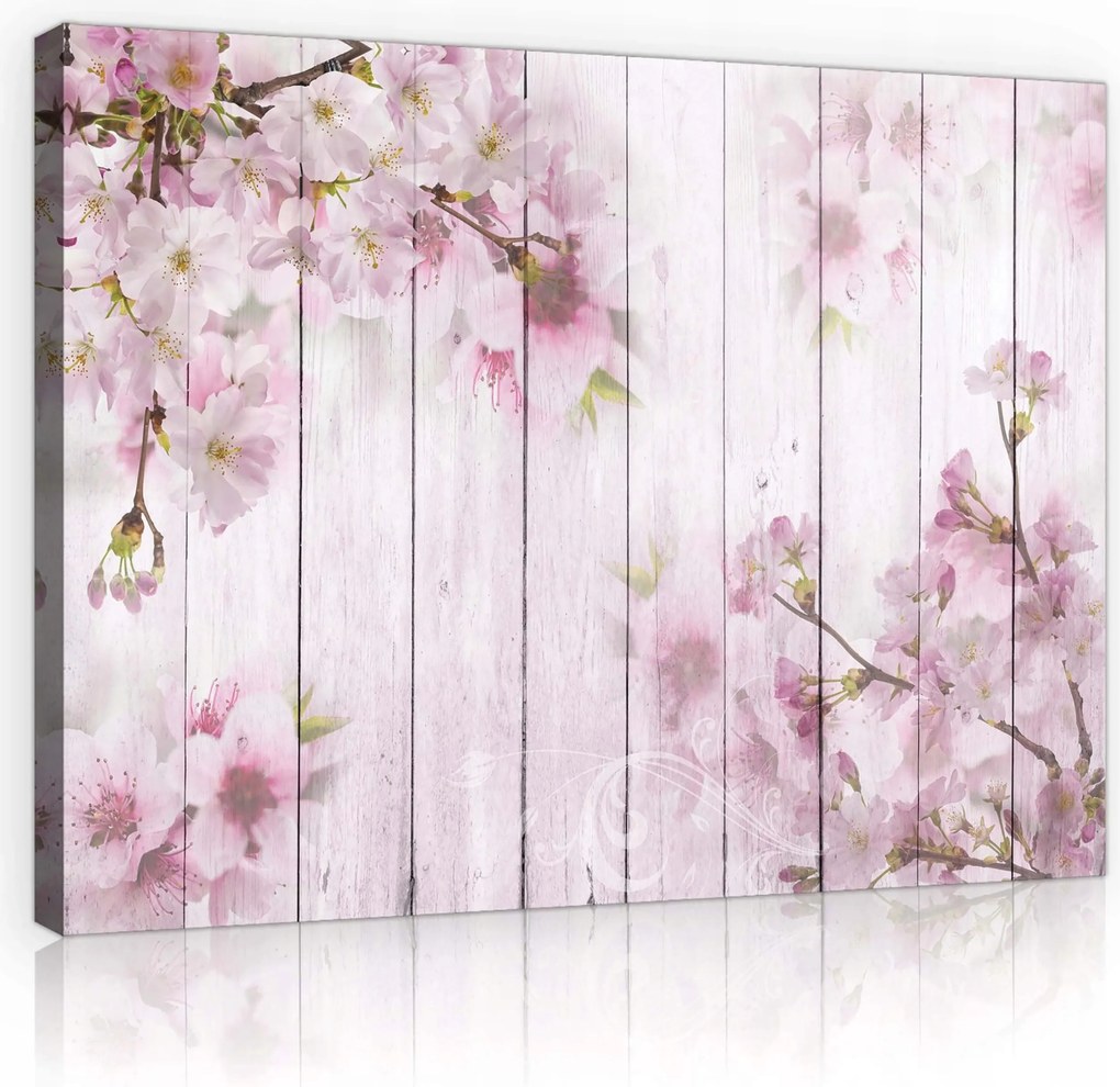 Vászonkép 100x75 Virágzó cseresznye sakura rózsaszín virágok tavasz finom nyugalom