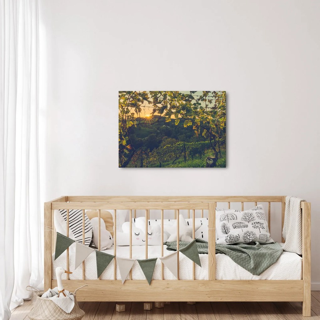 Kép - szőlőültetvény (70x50 cm)