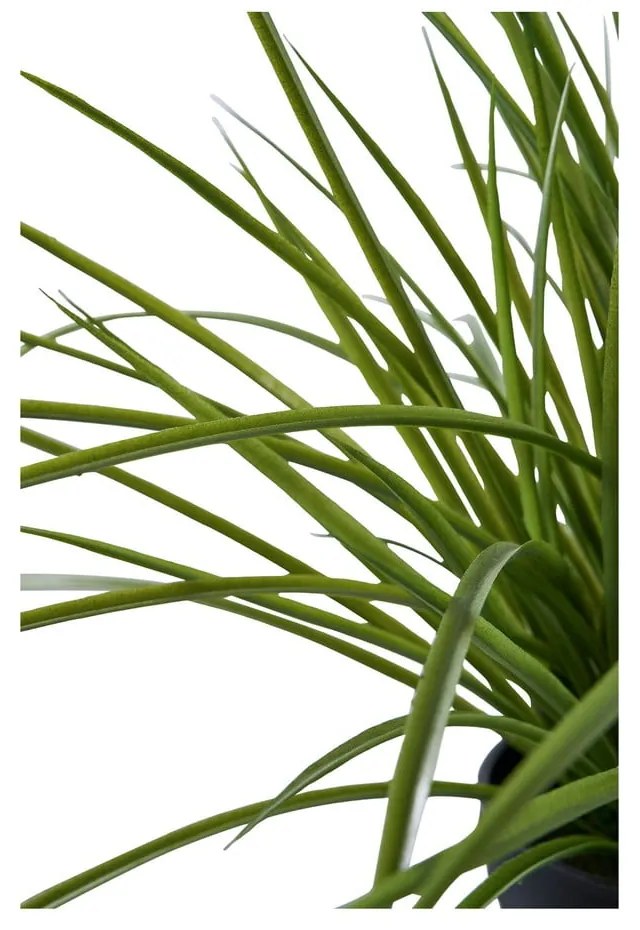 Fű műnövény (magasság 45 cm) – House Nordic