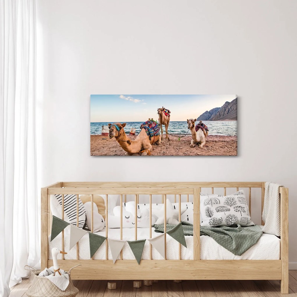 A tevék képe (120x50 cm)
