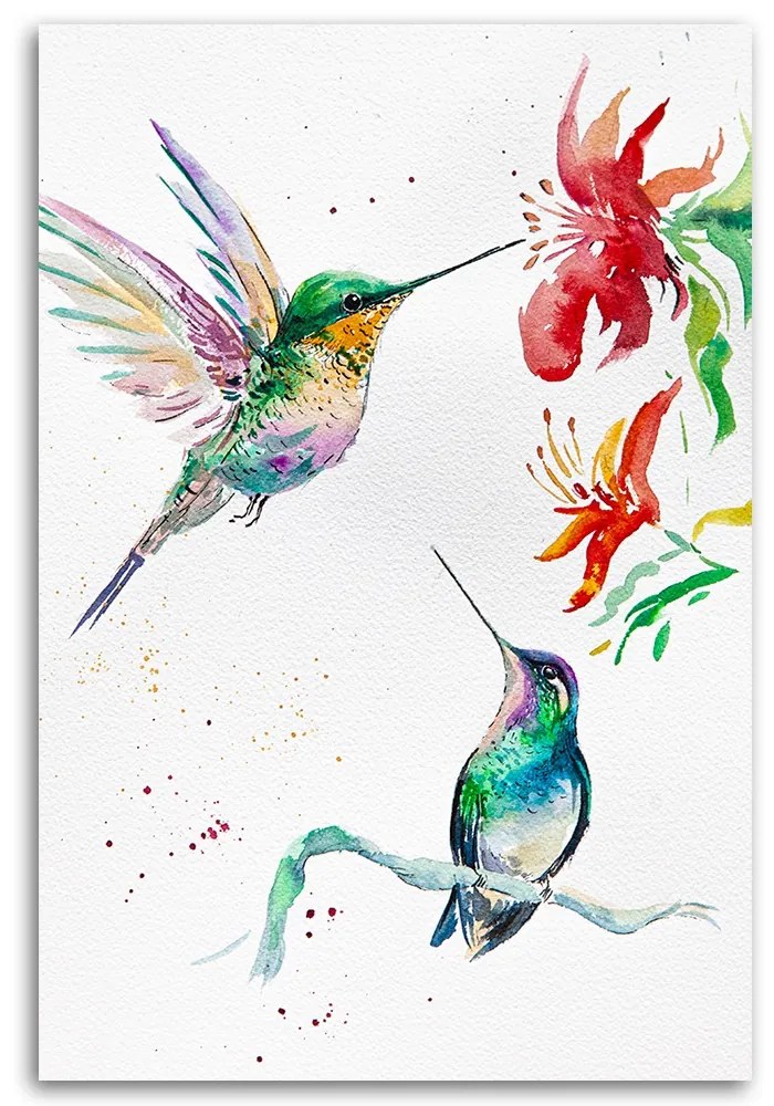 Gario Vászonkép Kolibri - Dorota Martynska Méret: 70 x 100 cm