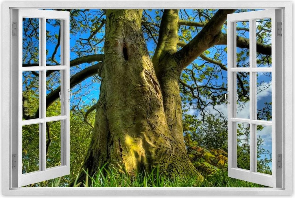 Poszterek 120x80 Erős fa