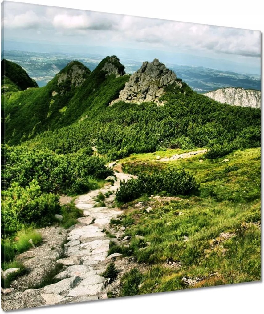 Vászonkép 80x80 Lengyel Tátra Hegyek