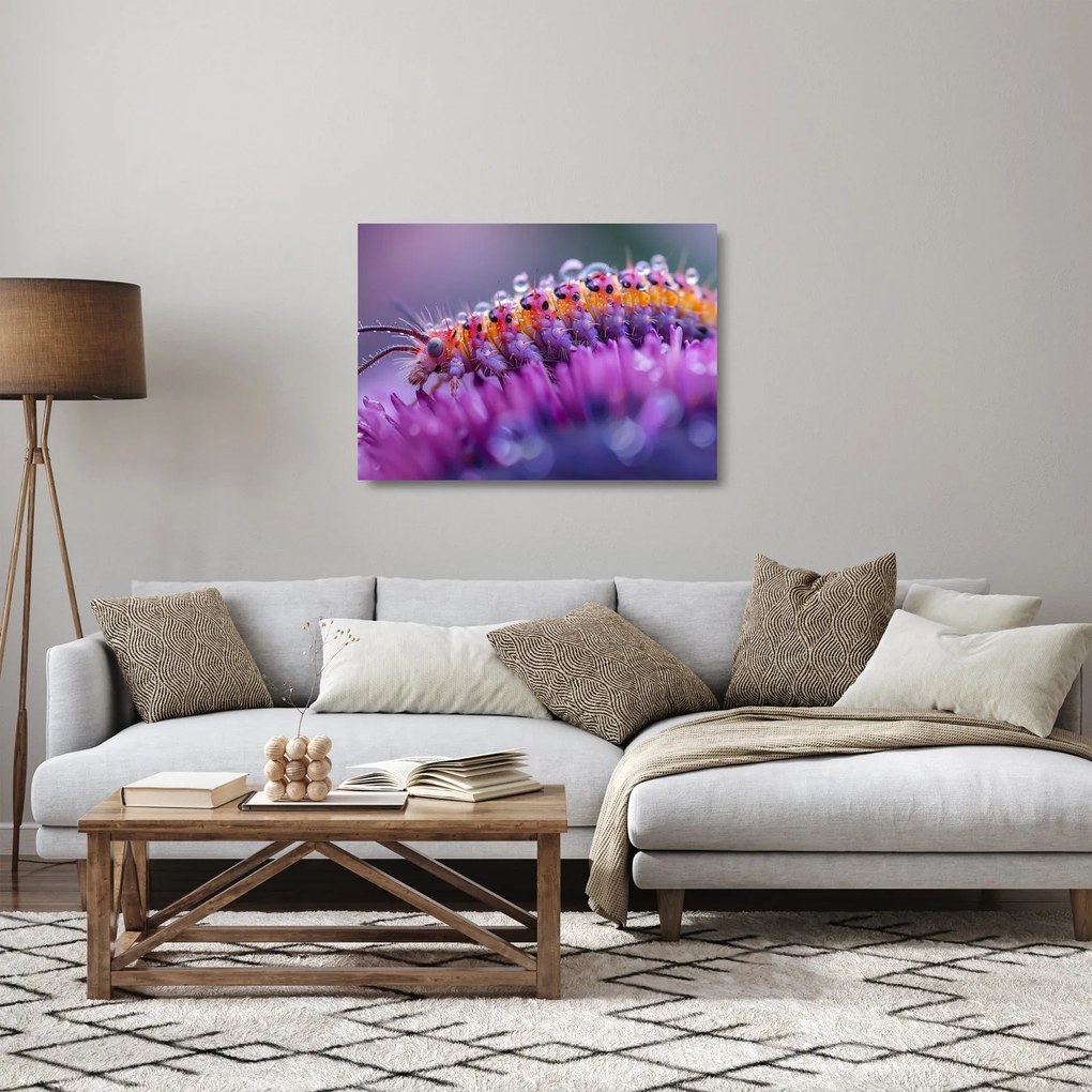 Üveg kép - Caterpillar (70x50 cm)