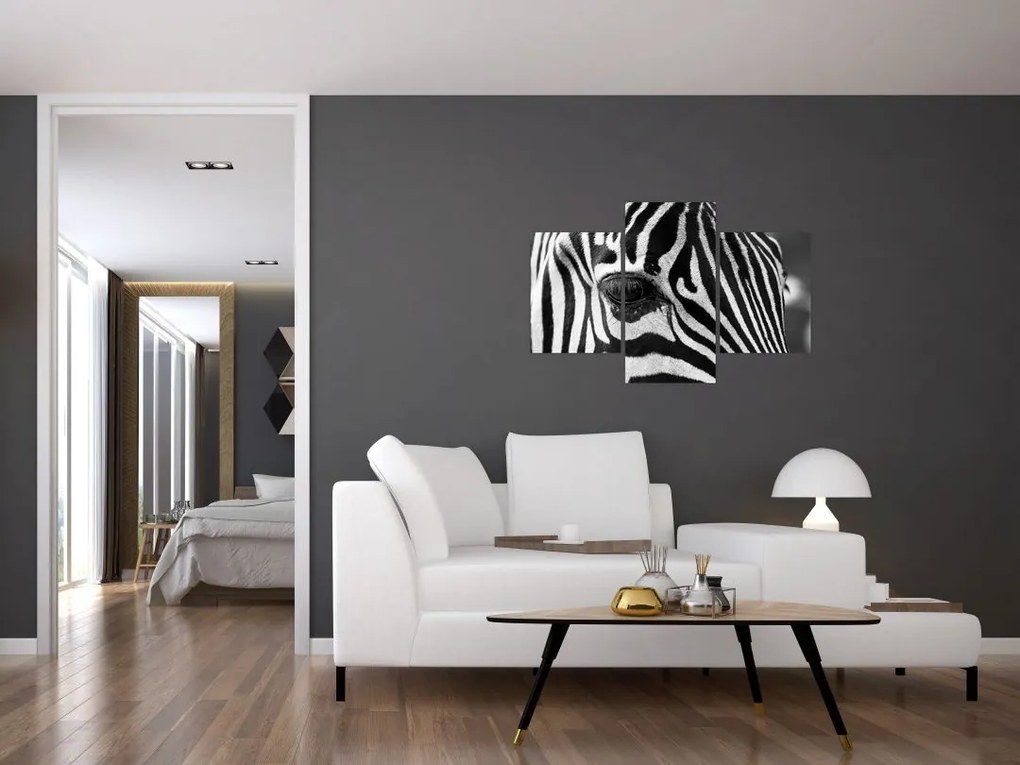 Zebra képe (90x60 cm)