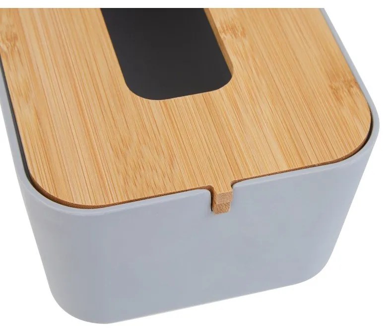 Műanyag zsebkendőtartó Canyon – Premier Housewares