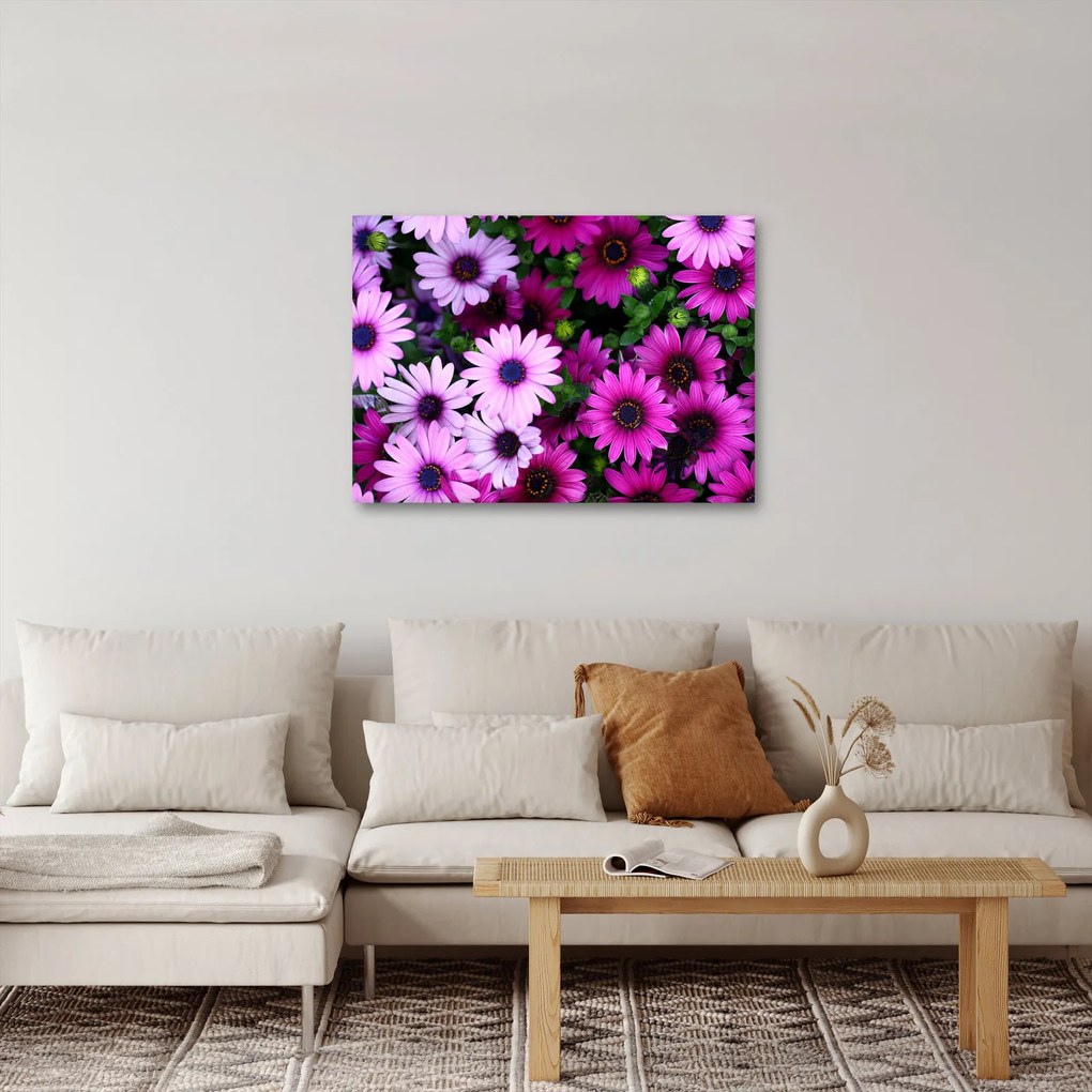 Kép - Virágok (70x50 cm)