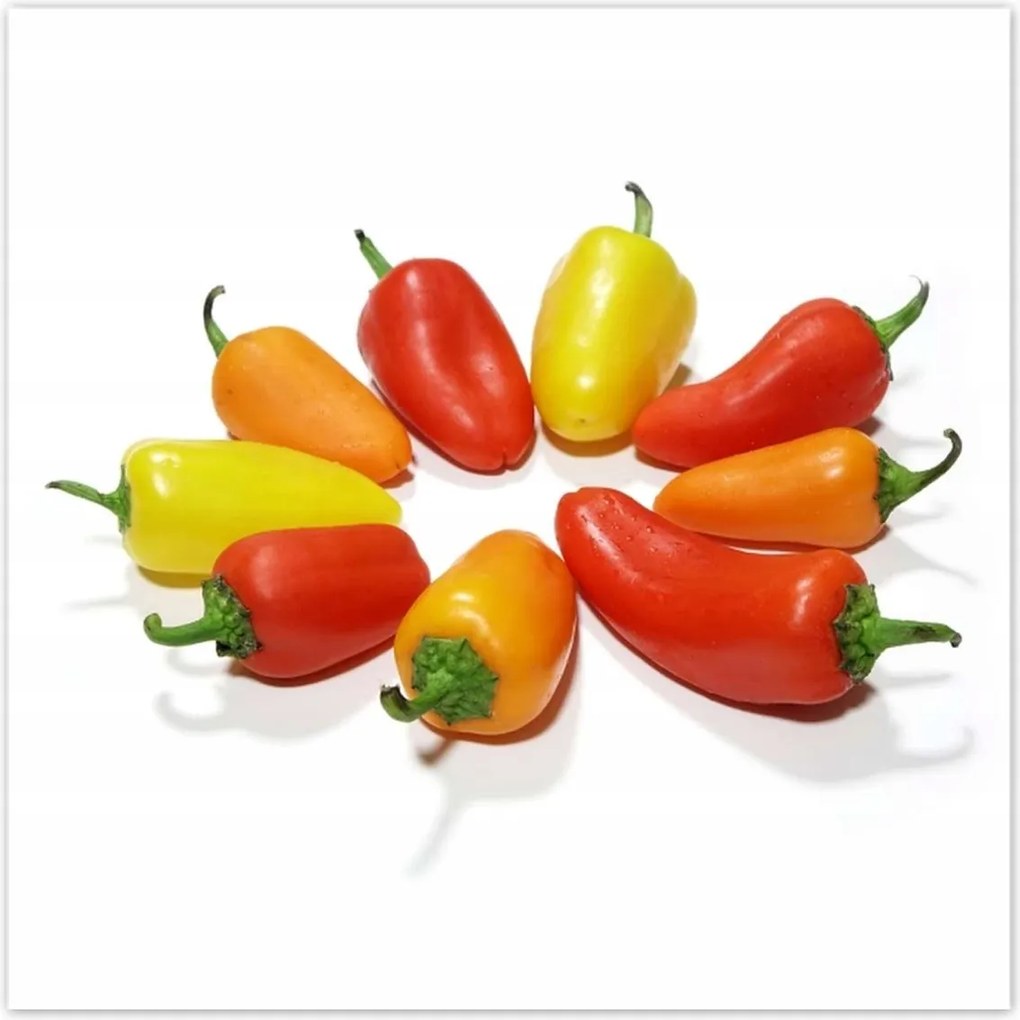 Poszterek 100x100 Gránátalma paprika