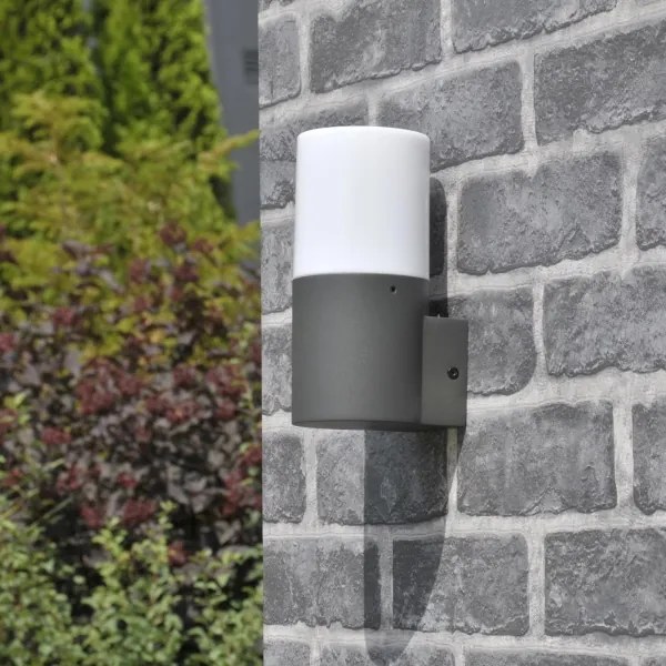 Kültéri fali lámpa DALLAS 1xE27/12W/230V IP44 antracit