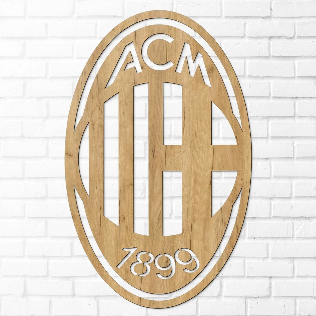 DUBLEZ | Focicsapat logója a falra - ACM