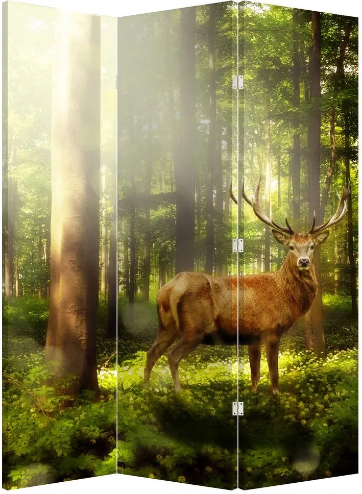 Paraván - Szarvas az erdőben (126x170 cm)