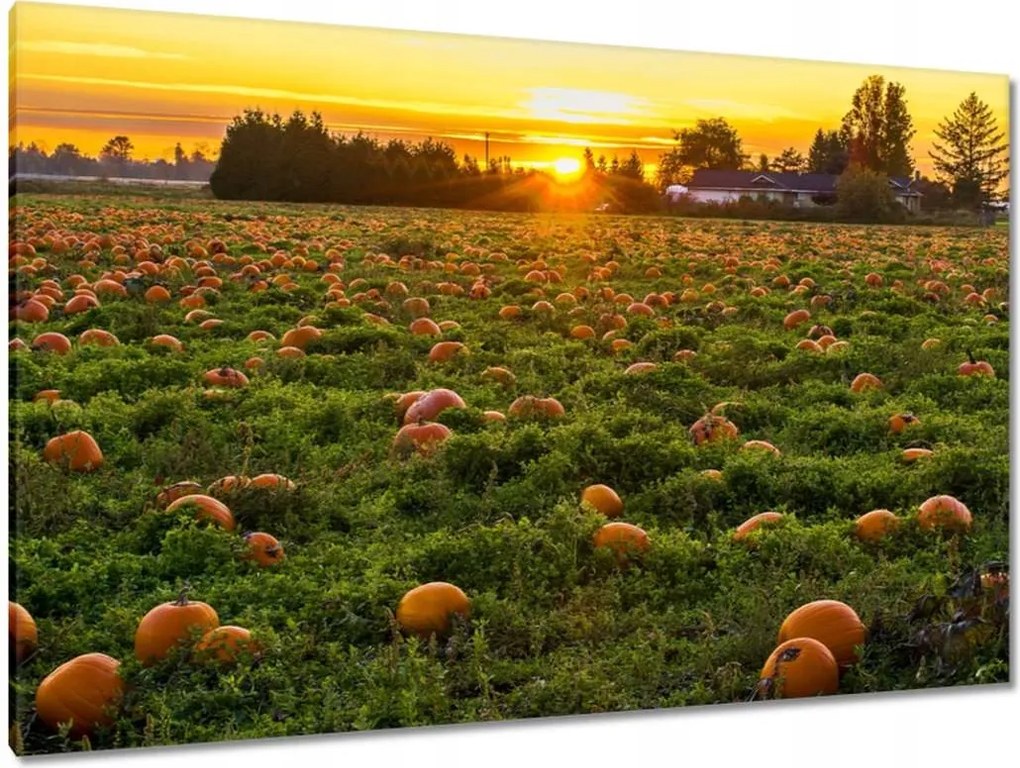 Festmények 120x80 Tájkép Látvány