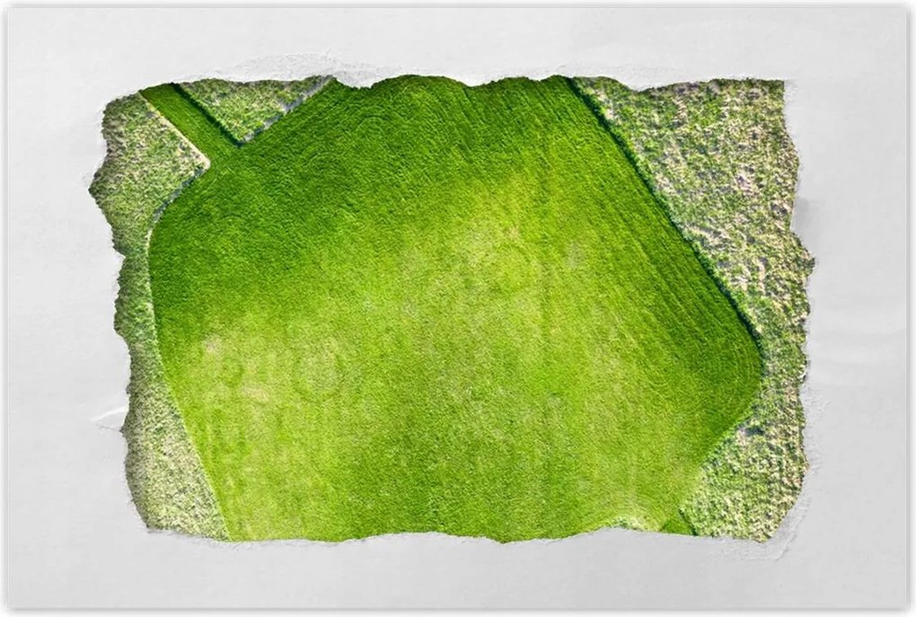 Poszterek 90x60 Fű mező rét út