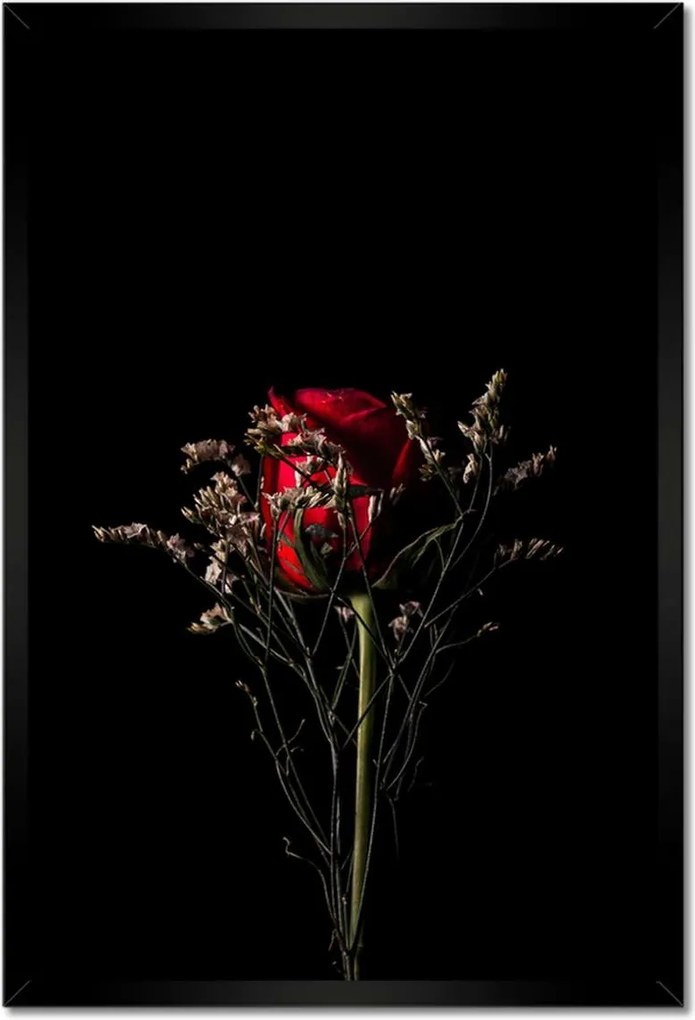 Poszterek keretben 40x60 Rózsa Virág Virágok Rózsa