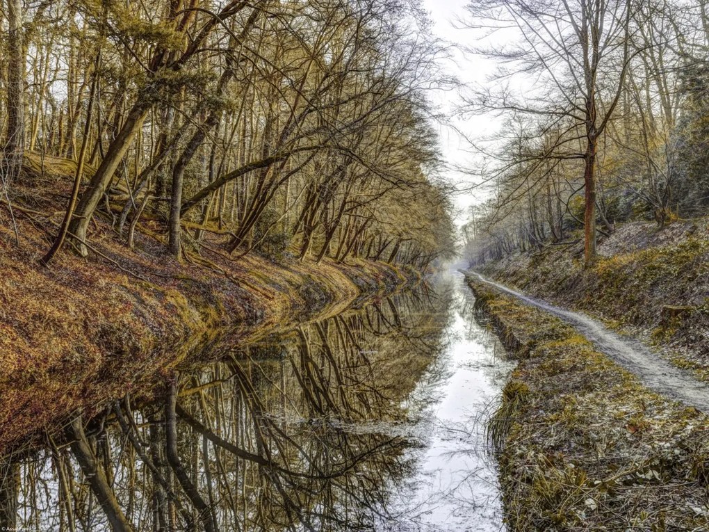 Poszter 40x30cm Csatorna az erdőben, Assaf Frank