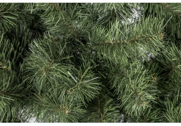 Karácsonyfa SLIM 150 cm fenyő