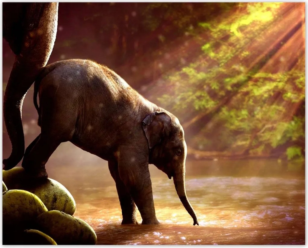 Poszterek 50x40 Anya csak egy van