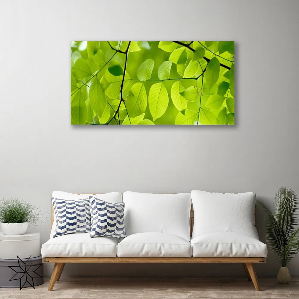 Vászonkép falra Elhagyja Plant 140x70 cm