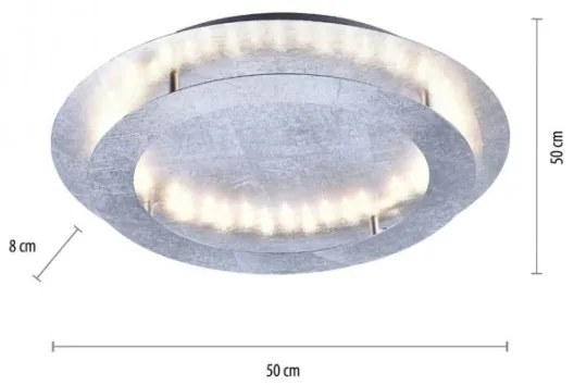 Paul Neuhaus 9621-21 - LED Mennyezeti lámpa NEVIS LED/24W/230V