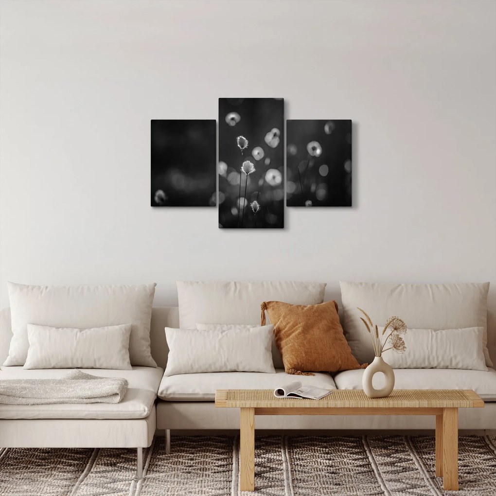 Kép - Pamutfű a réten (90x60 cm)