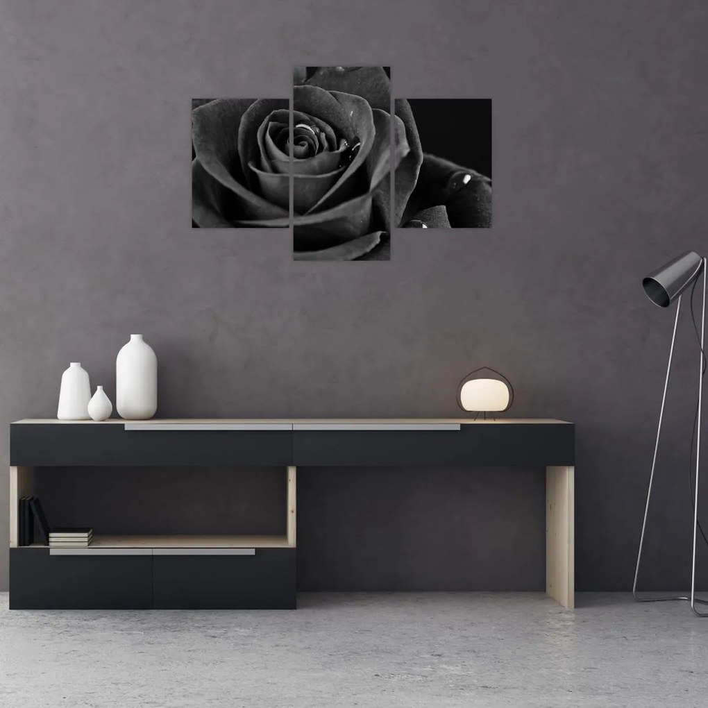 Kép - Bíborvörös rózsa (90x60 cm)