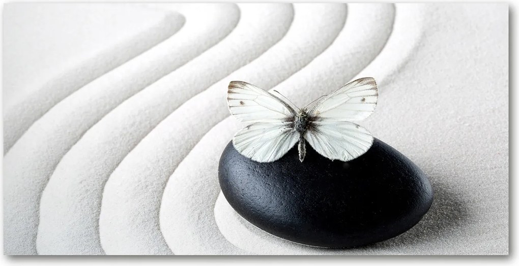 Fotó-üvegkép Zen kő és pillangó 140x70