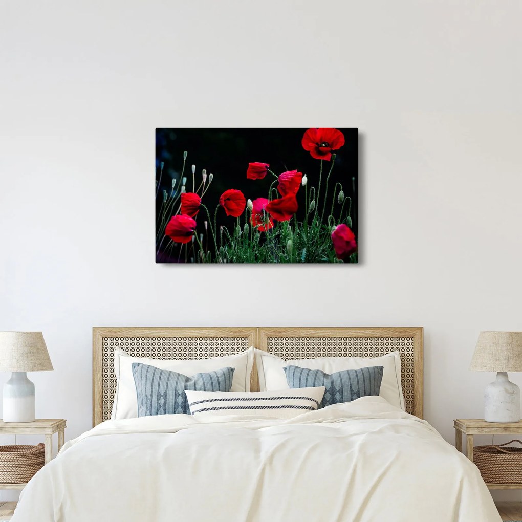 Kép - Pipacsok tánca (90x60 cm)