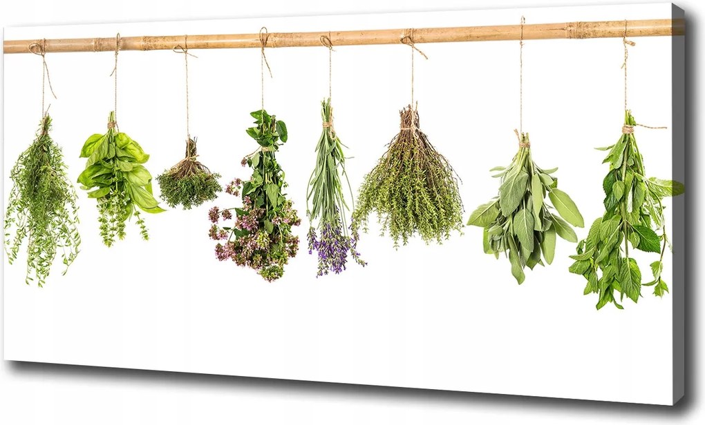 Vászonkép Gyógynövények zsinóron 100x70 cm